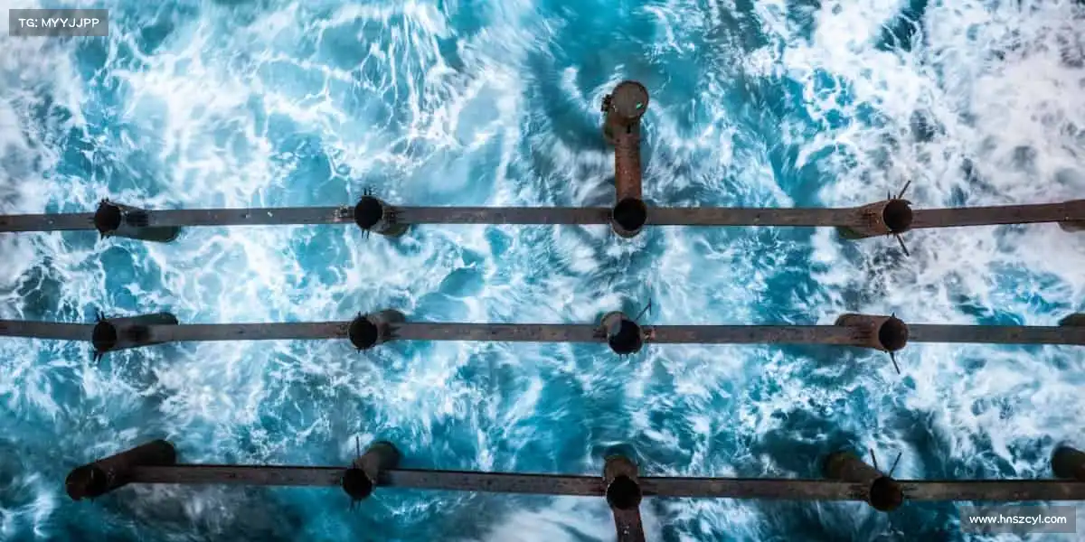 为什么选择我们